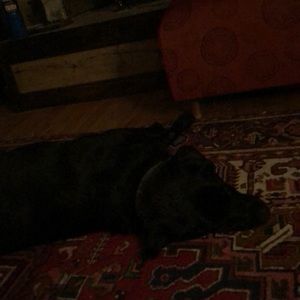 Meet your Posher, Joseph